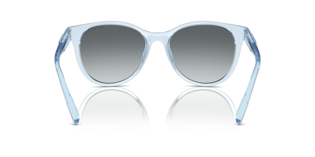 Armaani Exchange 4144SU Sunglasses