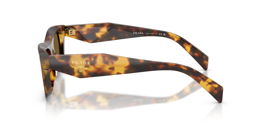 Praada C06S Sunglasses
