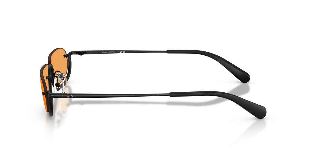 Armaani Exchange 2058S Sunglasses