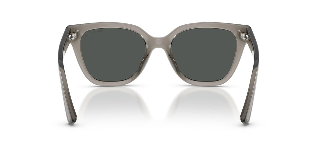 Armaani Exchange 4164SU Sunglasses