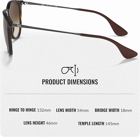 Classic Phantos Shape Sunglasses With Eyewear Kit Bundle - High Bridge Fit - Brown Lens