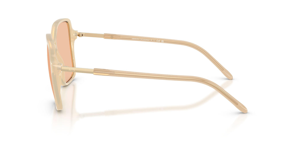 Armaani Exchange 4163SF Sunglasses
