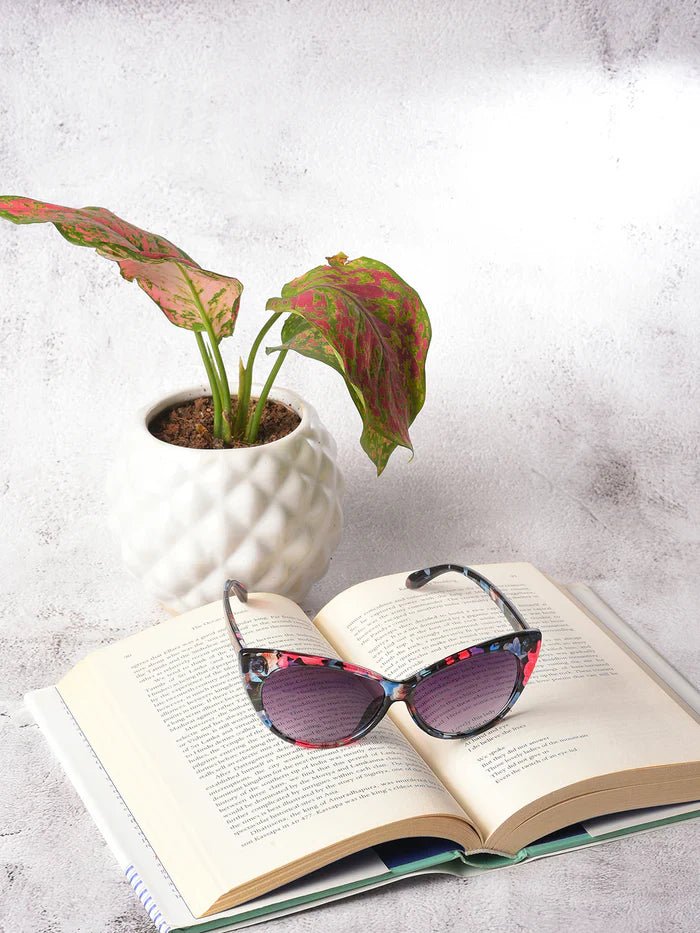 Black Cateye Sunglasses