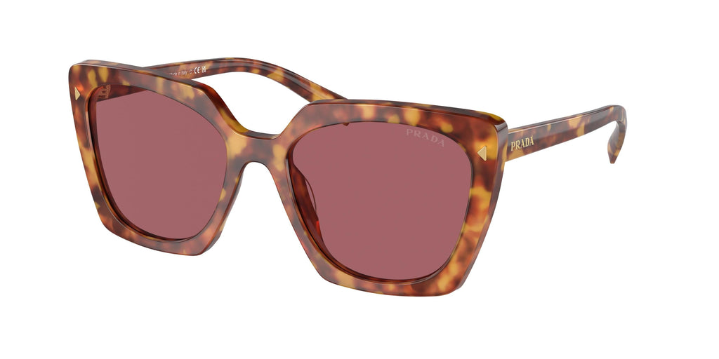 Praada 23ZS Sunglasses