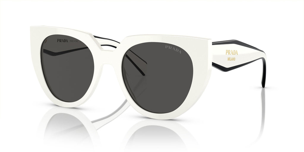 Praada 14WS Sunglasses