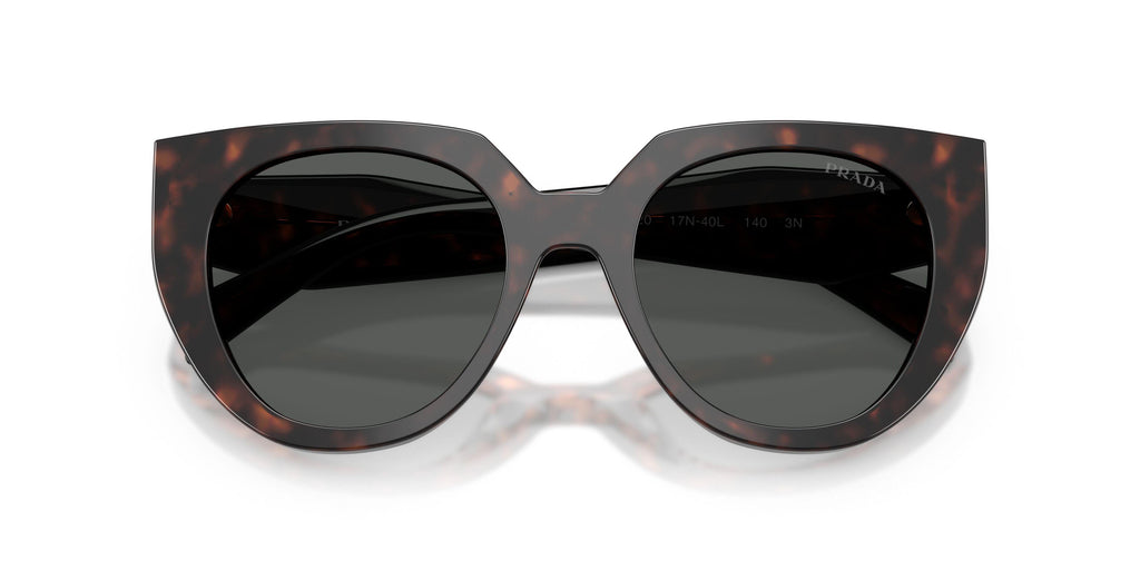 Praada 14WS Sunglasses