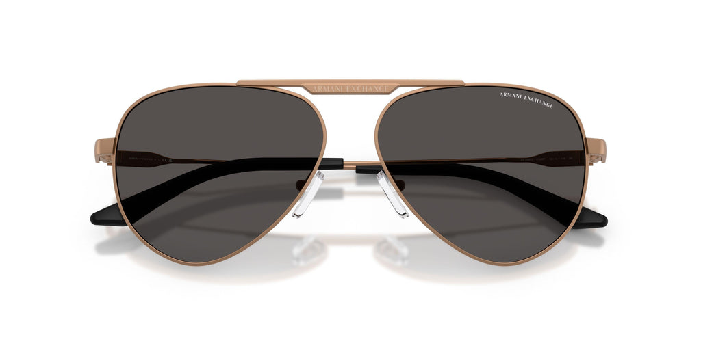 Armaani Exchange 2060S Sunglasses